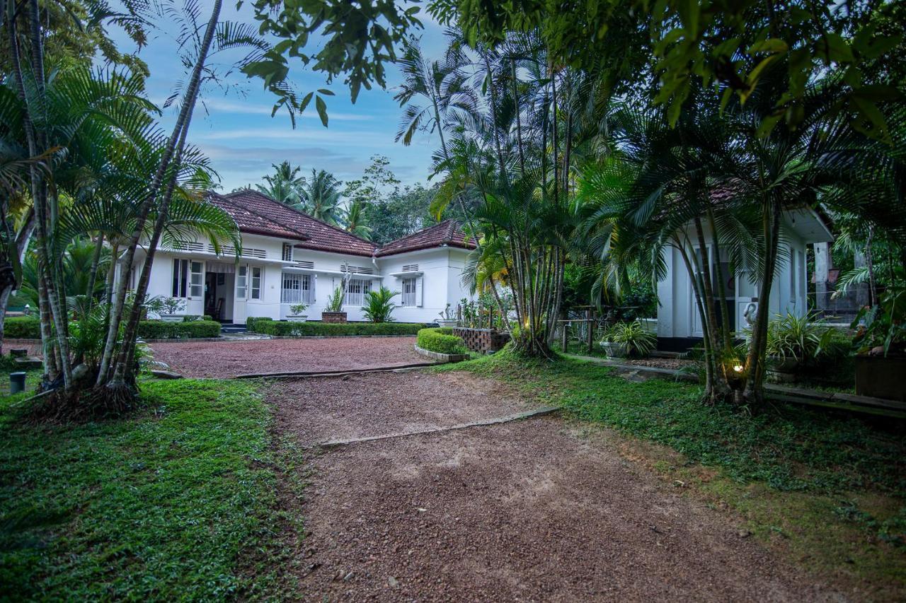 Village Headman'S Five Bedrooms Entire Bungalow Induruwa Dış mekan fotoğraf